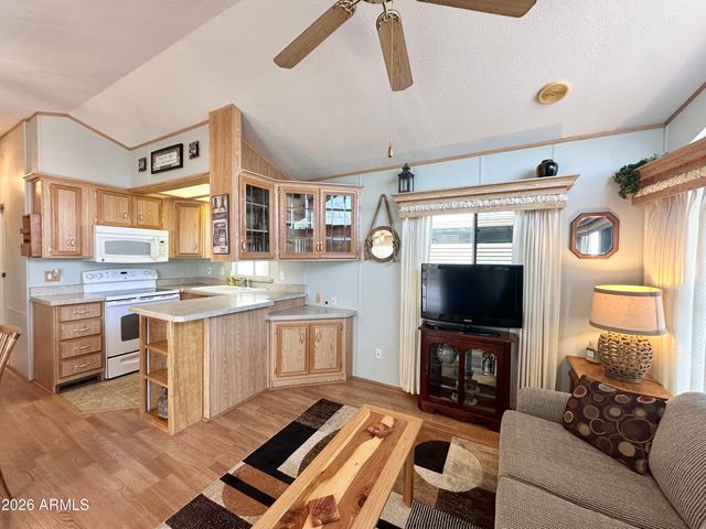 916 S MINESHAFT Drive, Apache Junction, AZ 85119