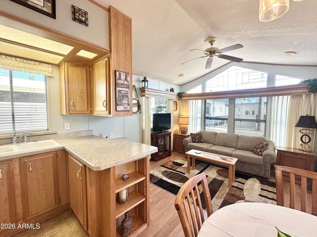 916 S MINESHAFT Drive, Apache Junction, AZ 85119