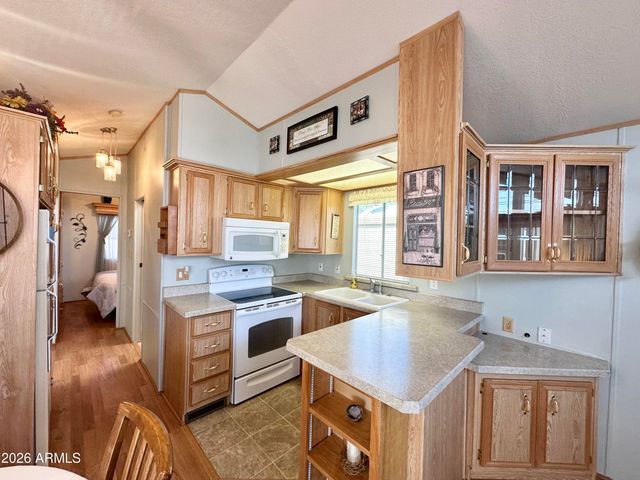 916 S MINESHAFT Drive, Apache Junction, AZ 85119