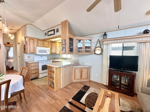 916 S MINESHAFT Drive, Apache Junction, AZ 85119