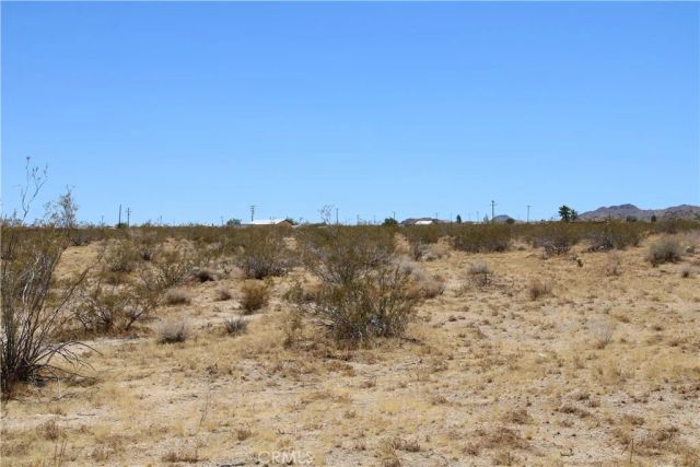 5 Joshua Tree, Johnson Valley, CA 92285