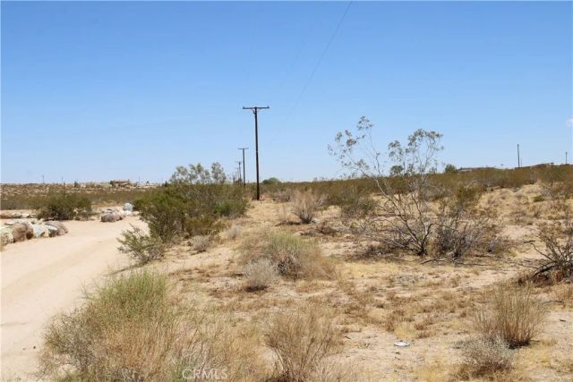 5 Joshua Tree, Johnson Valley, CA 92285