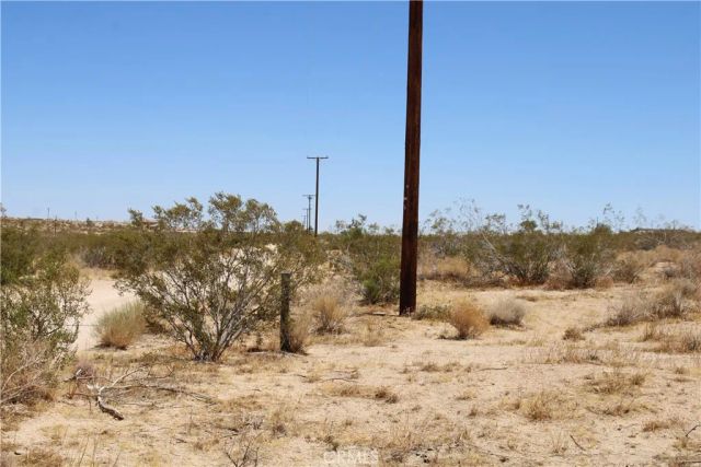 5 Joshua Tree, Johnson Valley, CA 92285
