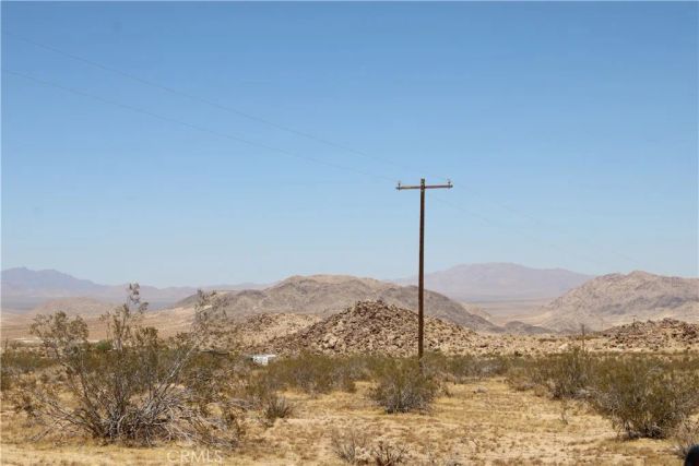 5 Joshua Tree, Johnson Valley, CA 92285