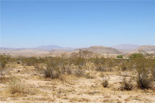 5 Joshua Tree, Johnson Valley, CA 92285
