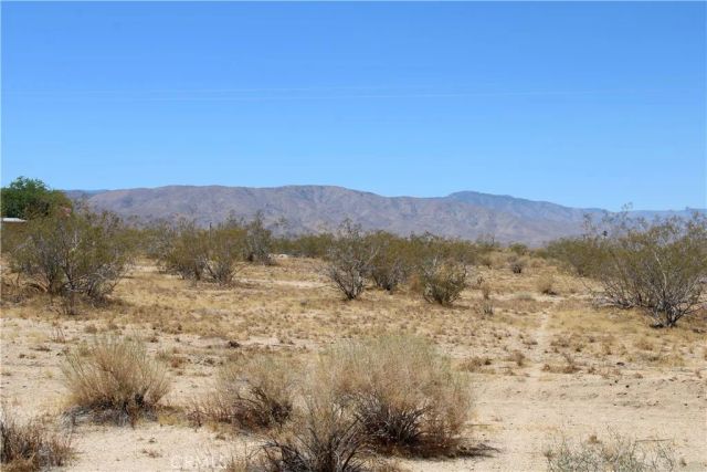 5 Joshua Tree, Johnson Valley, CA 92285