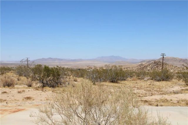 5 Joshua Tree, Johnson Valley, CA 92285