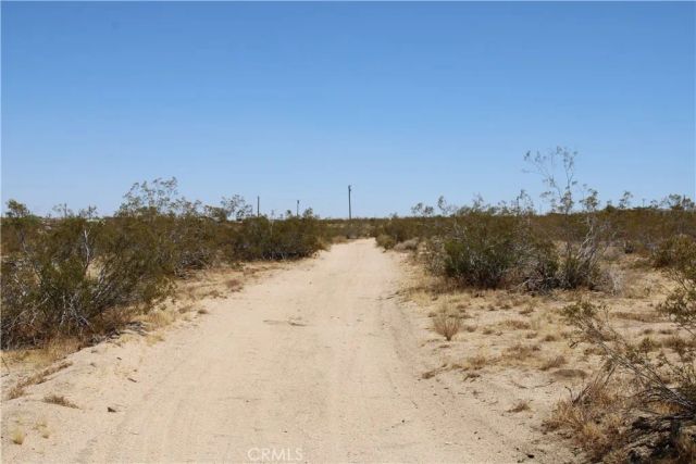 5 Joshua Tree, Johnson Valley, CA 92285