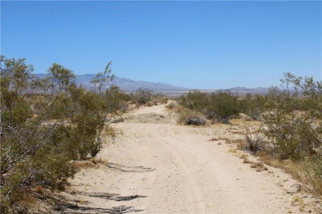 5 Joshua Tree, Johnson Valley, CA 92285