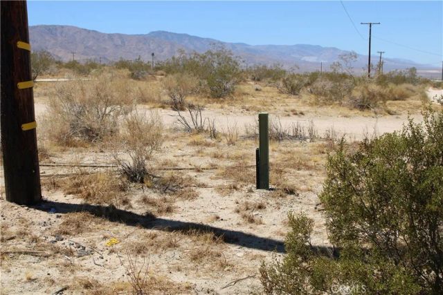 5 Joshua Tree, Johnson Valley, CA 92285