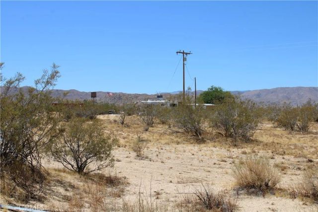 5 Joshua Tree, Johnson Valley, CA 92285
