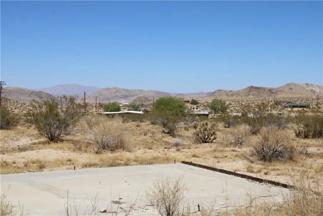 5 Joshua Tree, Johnson Valley, CA 92285