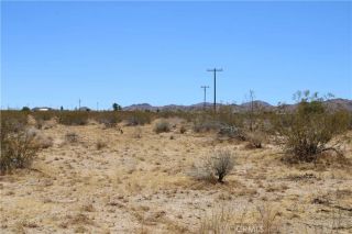 5 Joshua Tree, Johnson Valley, CA 92285