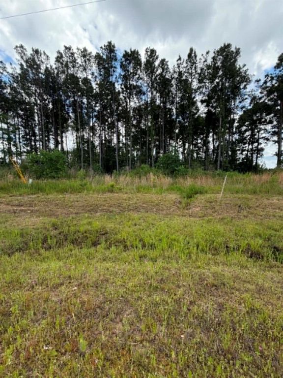 1172 Road 5913, Cleveland, TX 77327
