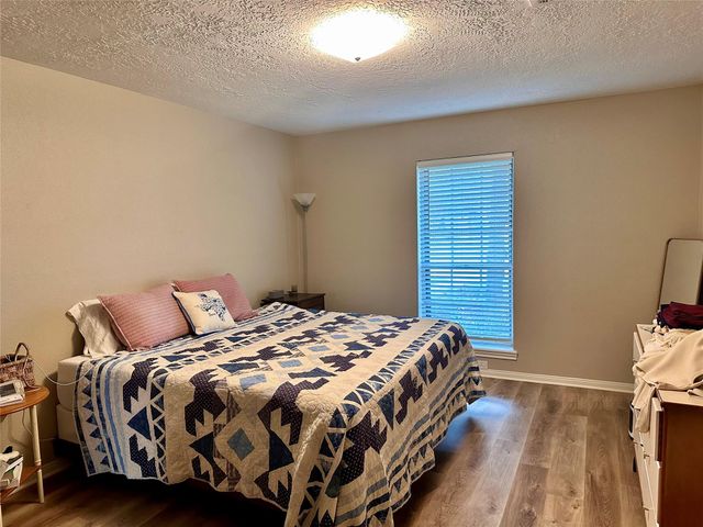 28903 Twisted Oak Drive, Shenandoah, TX 77381