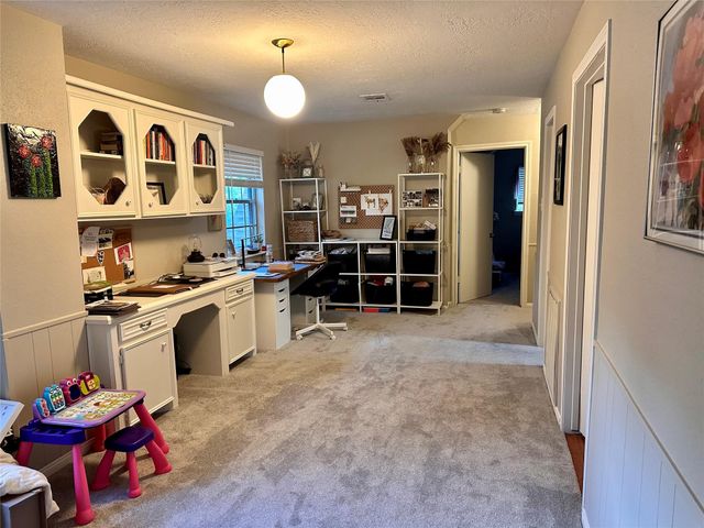28903 Twisted Oak Drive, Shenandoah, TX 77381