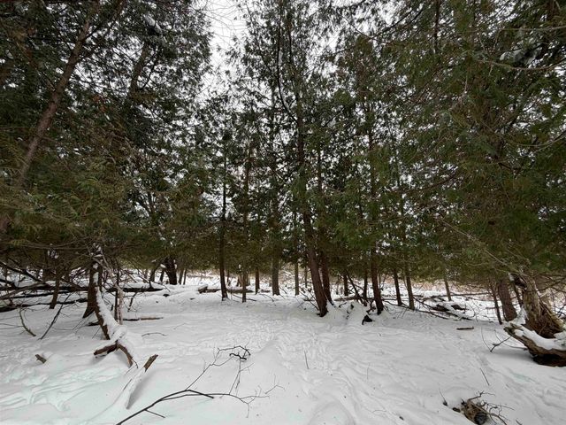 Vanderlip Road, East Bay Twp, MI 49686