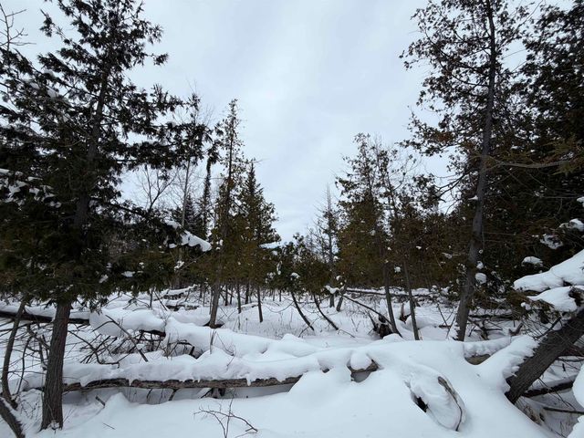 Vanderlip Road, East Bay Twp, MI 49686