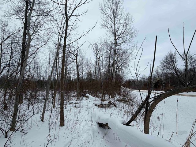 Vanderlip Road, East Bay Twp, MI 49686