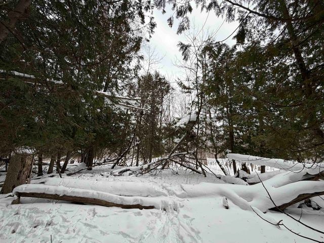 Vanderlip Road, East Bay Twp, MI 49686