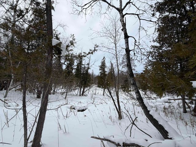 Vanderlip Road, East Bay Twp, MI 49686