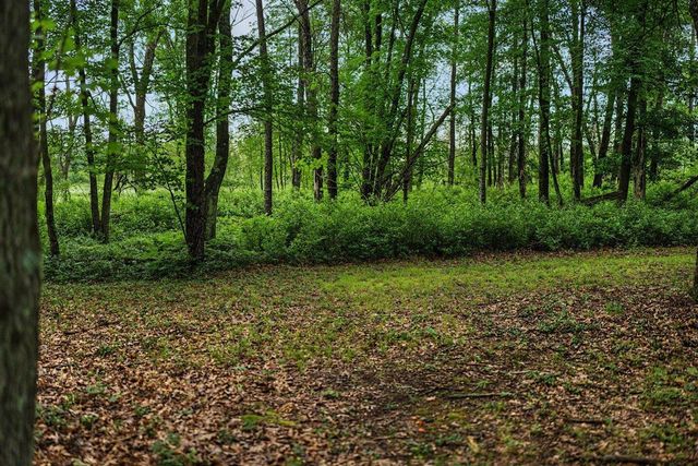 20 Acres Badger Avenue, Nekoosa, WI 54457