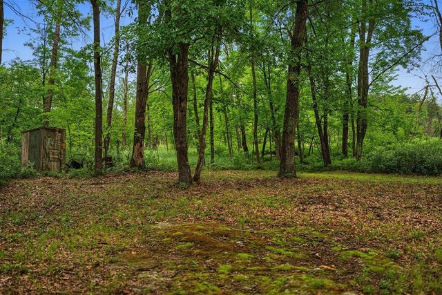 20 Acres Badger Avenue, Nekoosa, WI 54457