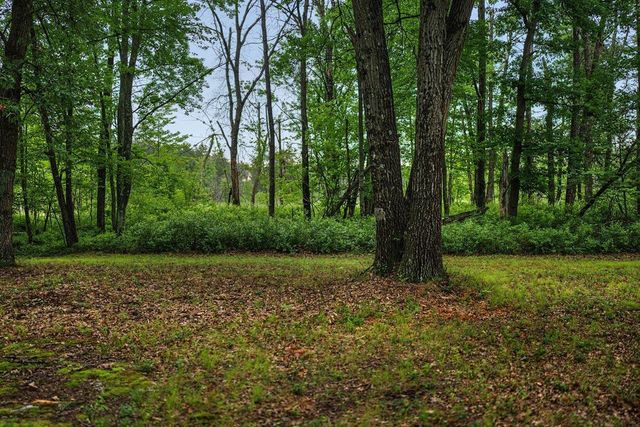20 Acres Badger Avenue, Nekoosa, WI 54457