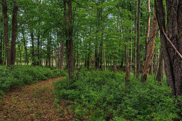 20 Acres Badger Avenue, Nekoosa, WI 54457