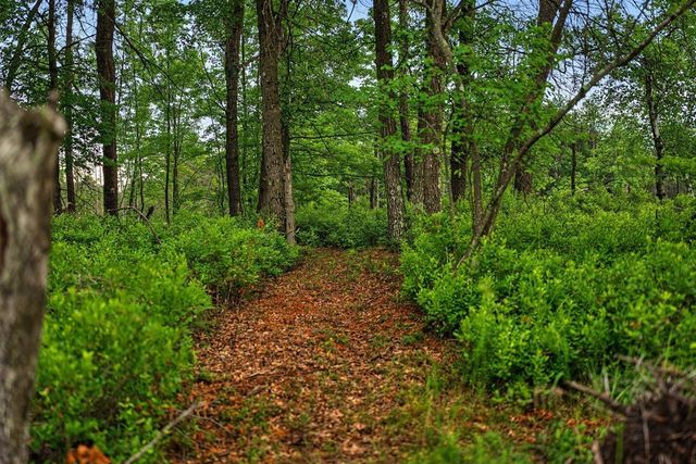 20 Acres Badger Avenue, Nekoosa, WI 54457