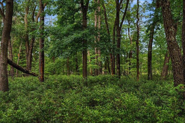 20 Acres Badger Avenue, Nekoosa, WI 54457