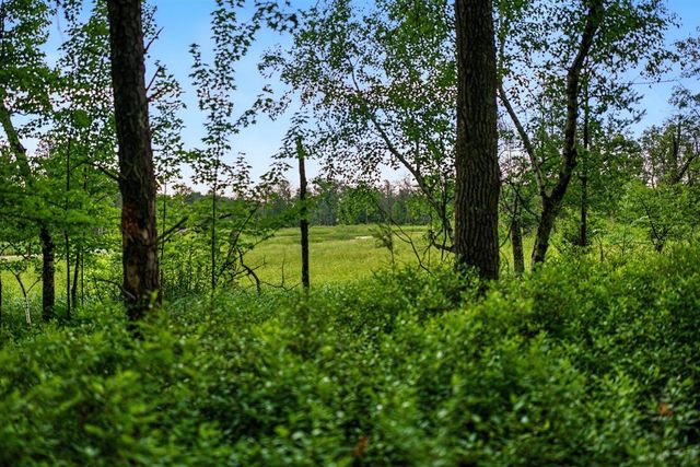 20 Acres Badger Avenue, Nekoosa, WI 54457