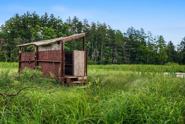 20 Acres Badger Avenue, Nekoosa, WI 54457