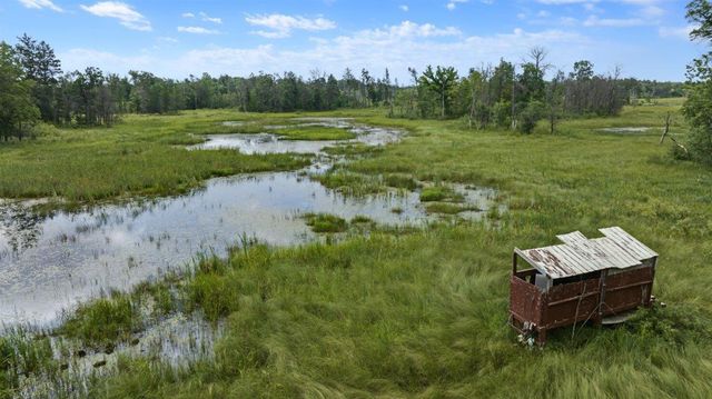20 Acres Badger Avenue, Nekoosa, WI 54457