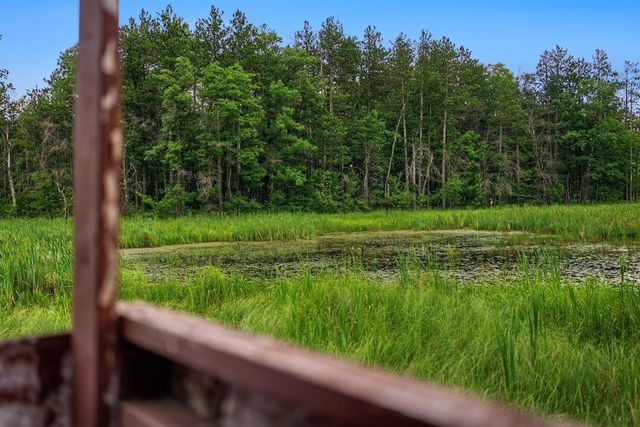 20 Acres Badger Avenue, Nekoosa, WI 54457