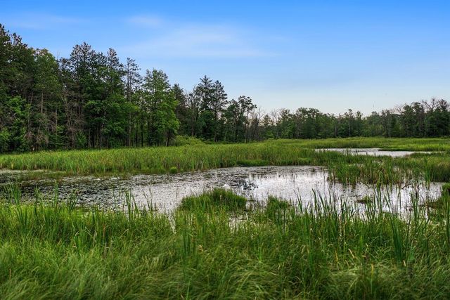 20 Acres Badger Avenue, Nekoosa, WI 54457