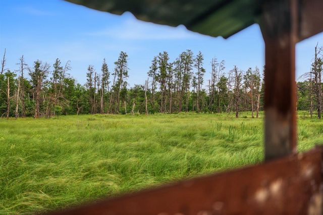 20 Acres Badger Avenue, Nekoosa, WI 54457