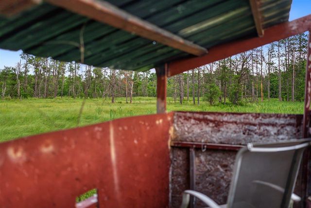 20 Acres Badger Avenue, Nekoosa, WI 54457