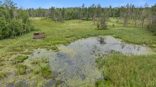 20 Acres Badger Avenue, Nekoosa, WI 54457