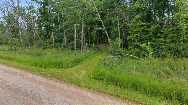 20 Acres Badger Avenue, Nekoosa, WI 54457