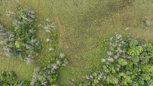 20 Acres Badger Avenue, Nekoosa, WI 54457