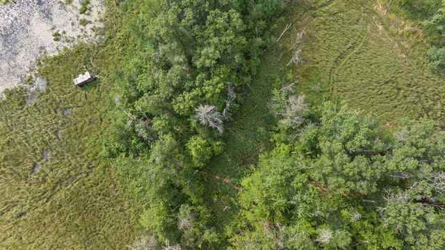20 Acres Badger Avenue, Nekoosa, WI 54457