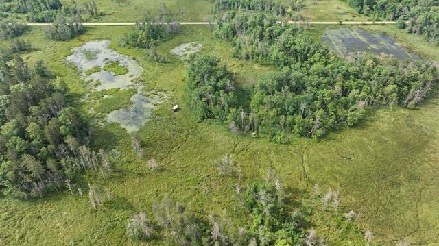 20 Acres Badger Avenue, Nekoosa, WI 54457