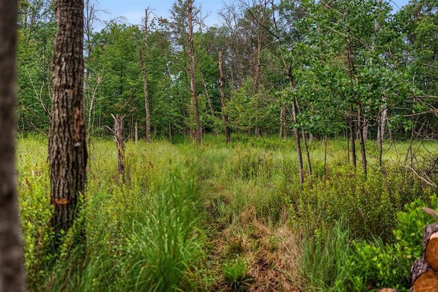 20 Acres Badger Avenue, Nekoosa, WI 54457