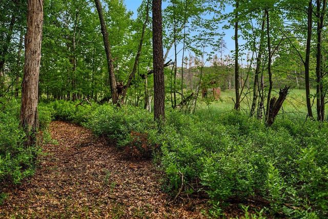 20 Acres Badger Avenue, Nekoosa, WI 54457