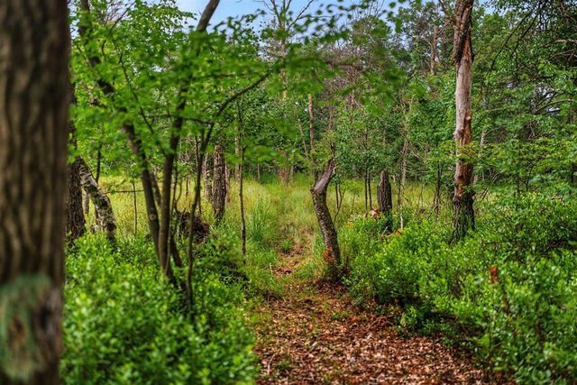 20 Acres Badger Avenue, Nekoosa, WI 54457