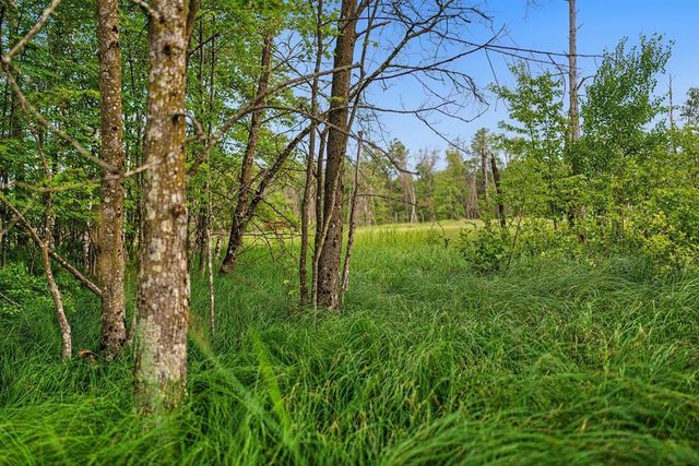 20 Acres Badger Avenue, Nekoosa, WI 54457
