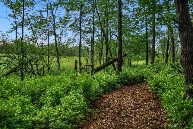 20 Acres Badger Avenue, Nekoosa, WI 54457