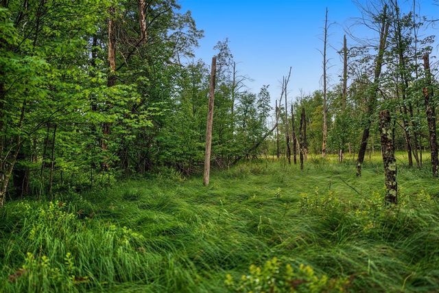 20 Acres Badger Avenue, Nekoosa, WI 54457