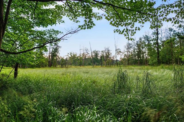 20 Acres Badger Avenue, Nekoosa, WI 54457